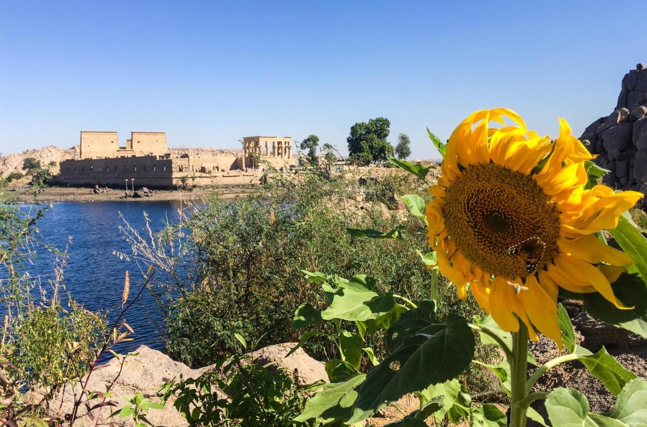Villa Eco Nubia Assuan Esterno foto